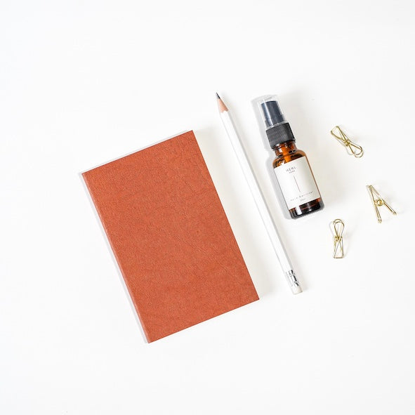 Buy Tan - A6 Trio Notebook, 2023 Diary Planner Online: XI